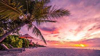 Tropical Beach at Sunset, lounger, umbrella, palm, colors, trees, clouds, sky, sun HD wallpaper