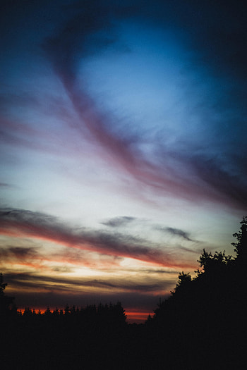 Nature, Trees, Sunset, Clouds, Silhouette HD phone wallpaper
