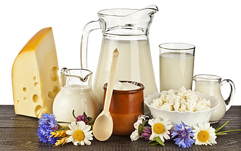 Food, Cheese HD wallpaper