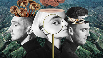 Clean Bandit, Familiar faces, Latest single artwork, Creative collaboration HD wallpaper
