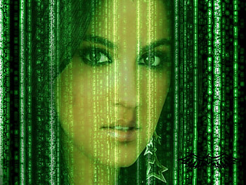 Mayte Perroni, perroni, mayte HD wallpaper