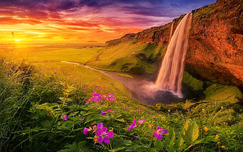 Seljalandsfoss, Iceland, wildflowers, waterfall, beautiful, sky, rocks, sunset, fiery HD wallpaper