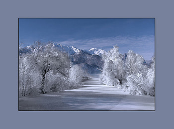 Winter beauty, winter, way, snow, trees, sky, mountain HD wallpaper