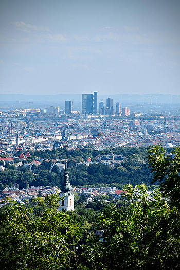 Cities, Bush, City, Building, Megalopolis, Megapolis, Temple HD phone wallpaper