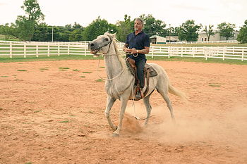 Tulsa King: Sylvester Stallone in Ultra, TV Show, Tulsa King, Sylvester Stallone, horse riding HD wallpaper