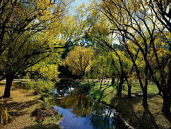 Nature, Rivers, Trees, Autumn, Park, Rest, Relaxation, Australia HD wallpaper