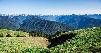 Nature, Grass, Mountains, Summer, Field HD wallpaper