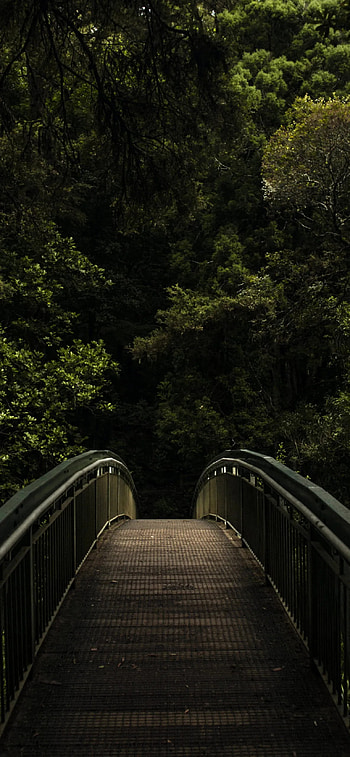 Travels, Bridge, 11 Pro Max HD phone wallpaper