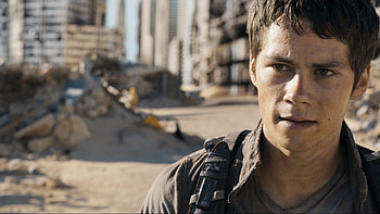Thomas Maze Runner , Fanpop page HD wallpaper