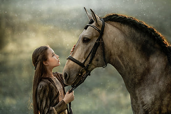 Beauties, child, copil, cowgirl, horse, cal, girl HD wallpaper
