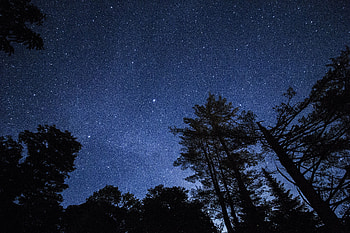 Nature, Trees, Stars, Night, Starry Sky HD wallpaper