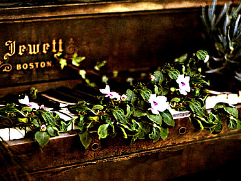 GOOD MUSIC NEVER DIES, FLOWER, VINTAGE, OLD THIINGS, INSTRUMENTS, SONGS, MUSIC, FLOWERS, STILL LIFE, OLD FASHION, PIANO HD wallpaper