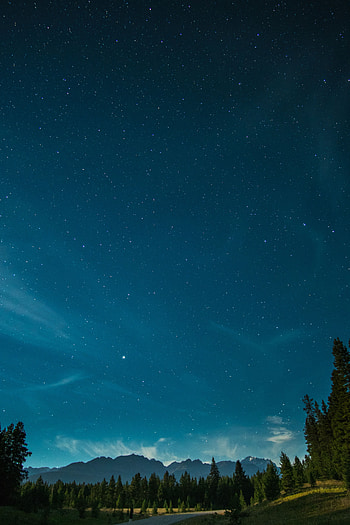 Nature, Trees, Mountains, Night, Starry Sky HD phone wallpaper