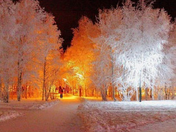 Winter park, winter, color, lights, snow, park HD wallpaper