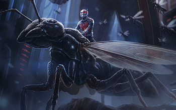 Ant Man Artwork, art, artist, ant-man, movies, artwork HD wallpaper