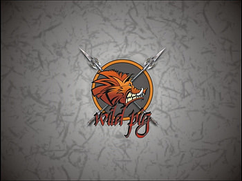 Wild Pig, jabali, jrc, camara, wild, pig HD wallpaper