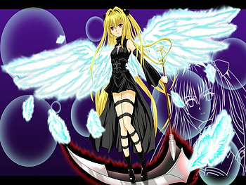 wings of darkness, sexy, anime, other, hot, women, girls, people HD wallpaper