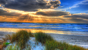 Sunrise at the sea, sand, plants, colors, clouds, landscape, sky, beach HD wallpaper