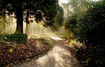 Landscape, Nature HD wallpaper