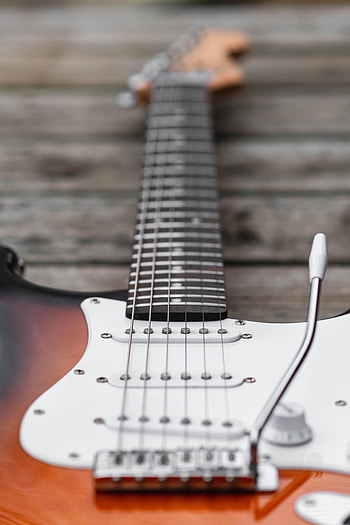Miscellanea, Miscellaneous, Vulture, Strings, Electric Guitar HD phone wallpaper