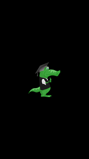 Funny, Art, Vector, Hat, Student, Crocodile HD phone wallpaper
