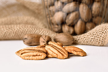 Harvesting process, Pecan stages, Stahmanns pecans, Nut production HD wallpaper
