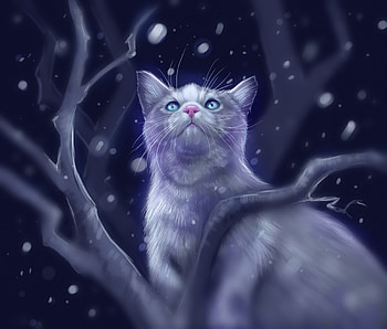 Art, Snow, Glare, Cat, Sight, Opinion HD wallpaper