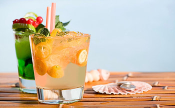 Enjoy!, orange, summer, shell, coin, mint, cocktail, green, glass, fruit, drink HD wallpaper