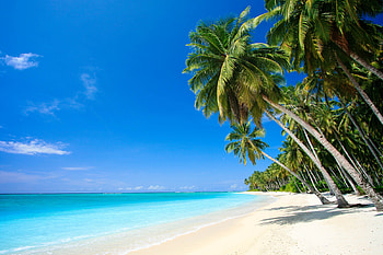 Tuvalu travels, Funafuti atoll, Franks travelbox, Tropical paradise HD wallpaper