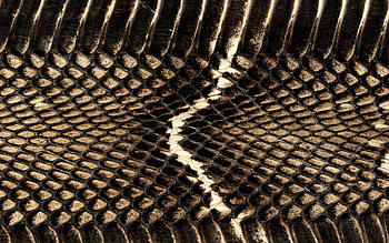 Background, Texture, Textures, Grid, Snake, Leather, Skin HD wallpaper