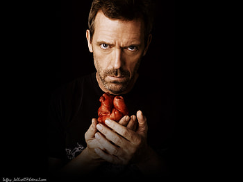 Cinema, People, Actors, House M.d., Hugh Laurie HD wallpaper