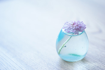 Flowers, Flower, Glass, Table, Vase HD wallpaper