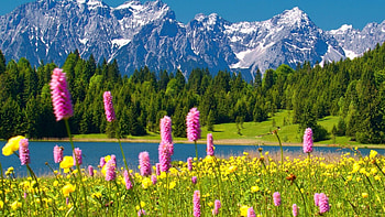 Wildflowers, blossoms, clouds, landscape, sky, meadow, lake HD wallpaper