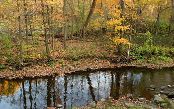 Nature, Rivers, Stones, Autumn, Leaves, Reflection, Shore, Forest, Ripples, Ripple, Shores HD wallpaper