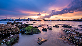 Sydney scenery, Nature wonders, Perfect backdrop HD wallpaper
