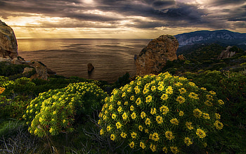 Italian Coast at Sunset, flowers, sky, sea, landscape, clouds, mediterranean HD wallpaper