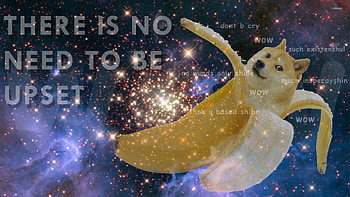 Doge - Funny - HD wallpaper