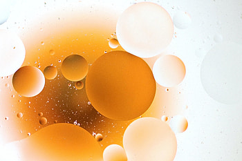 Orange bubbles, macro HD wallpaper