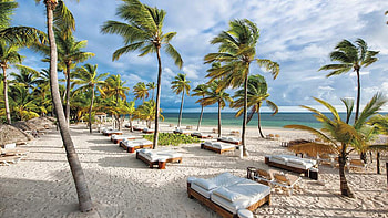 Bavaro Beach with Palms, putacana, palms, clouds, trees, bavaro, nature, beach HD wallpaper