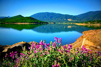 Crystal blue lake, river, crystal, tranquil, nice, quiet, shore, reflection, water, beautiful, rocks, lake, mirrored, nature, sky, flowers, clear, lovely HD wallpaper