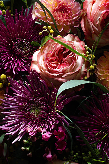 Flowers, Roses, Bouquet, Asters HD phone wallpaper