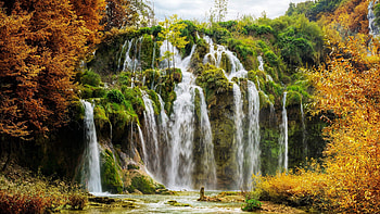 National park, Waterfall, Plitvice lakes HD wallpaper