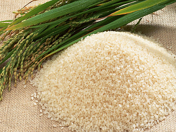 Rice, Grains HD wallpaper