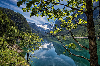 Alpine Lake in Austria, Alps, reflection, trees, Austria, calm, mountains, lake HD wallpaper
