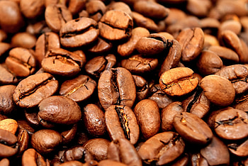 Coffee beans, close up HD wallpaper