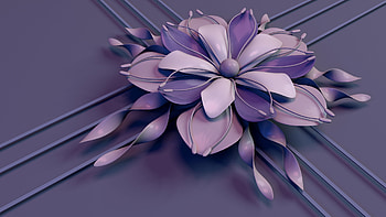Petals Abstract, abstract, petals HD wallpaper