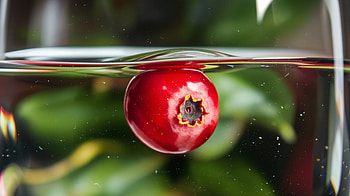 Stunning Cranberry Ultra, cranberry, fruit, water, close-up, red HD wallpaper