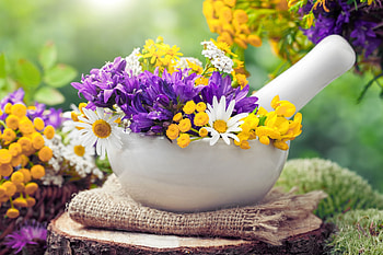 purple, soft, flowers, abstract HD wallpaper