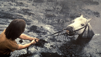 The NeverEnding Story, 1984 movie HD wallpaper