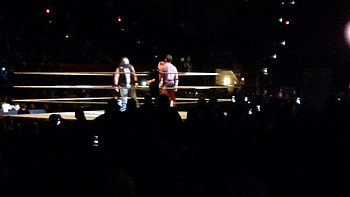 -BulletClubBabe - Wattpad HD wallpaper